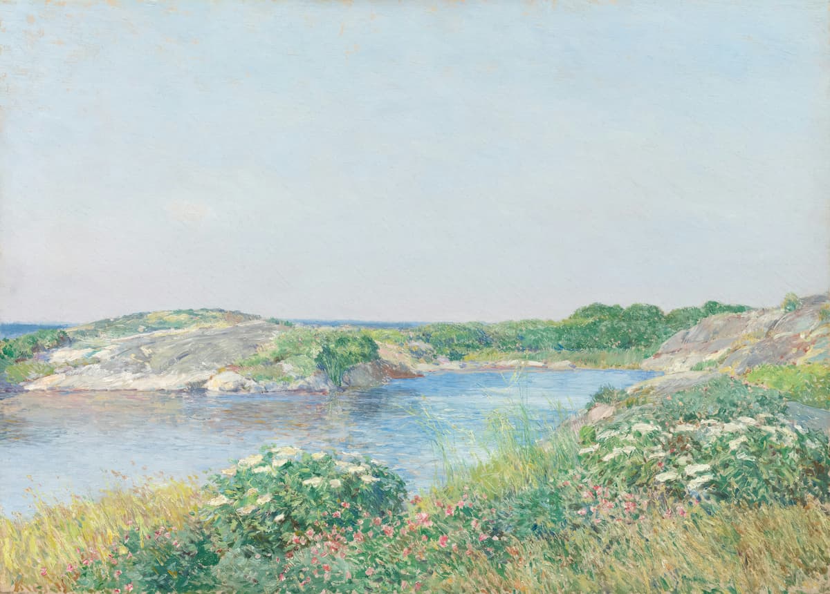 Kallioinen ranta, jossa on myös kukkia